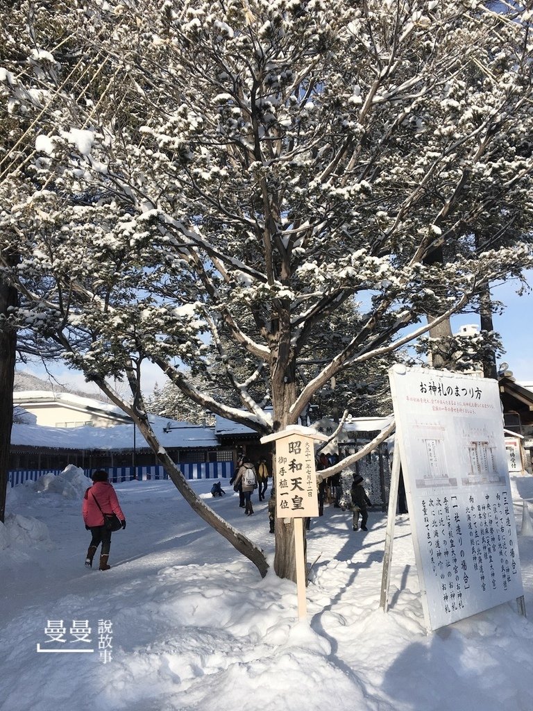 20170114北海道神宮IMG_7695-018