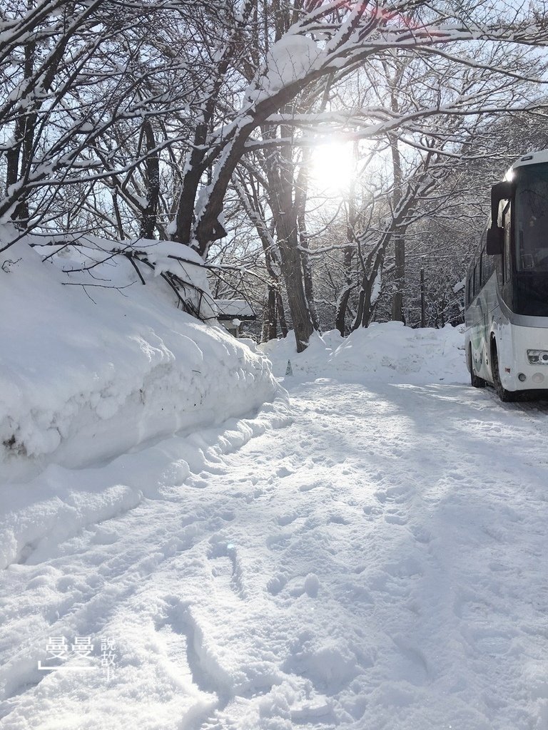 20170114北海道神宮IMG_7722-041