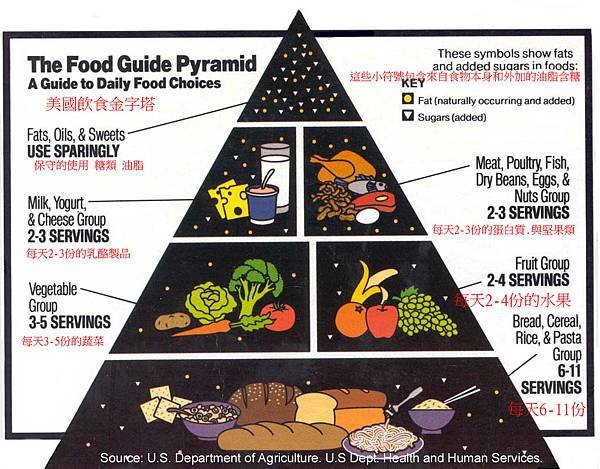 food-pyramid