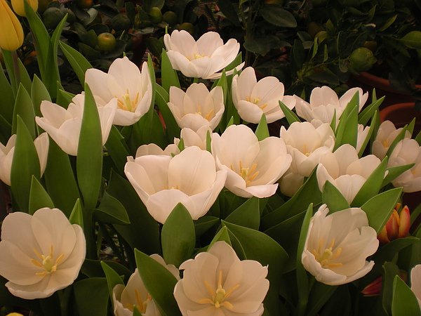 DSCN1193.JPG