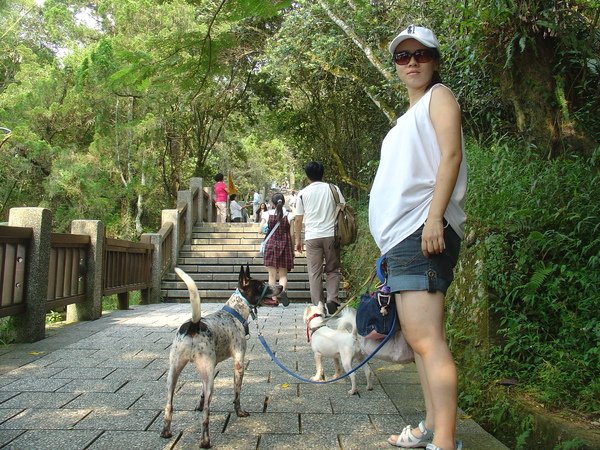 登玄光寺_累.JPG
