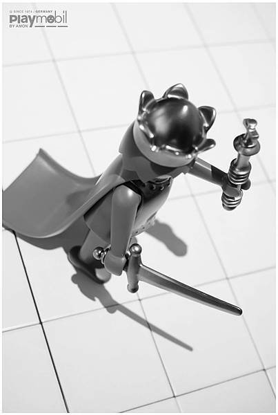playmobil 15