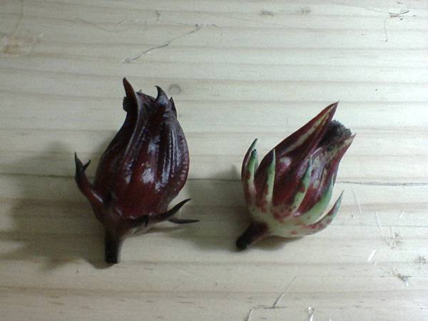相片0402
