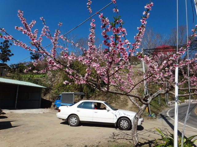 DSC09117.jpg
