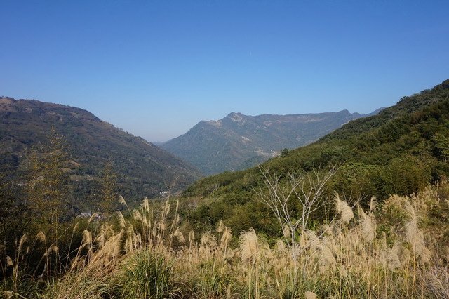 DSC08782.jpg