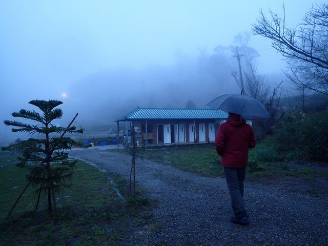 DSC08993.jpg