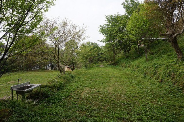 DSC08302.jpg