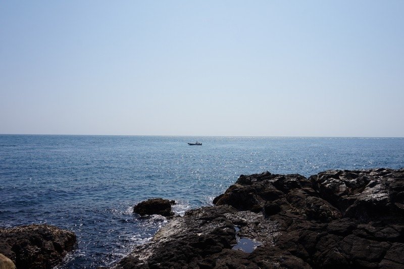 DSC02728.jpg