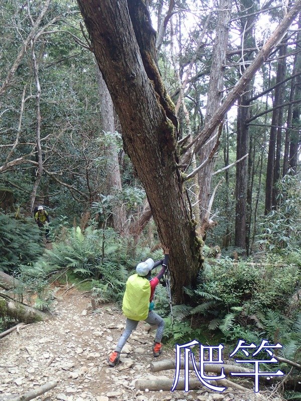 加羅湖之美~仙女散落的珍珠-宜蘭大同鄉四季部落加羅湖一泊二食