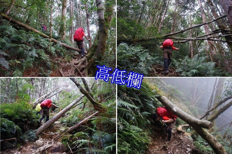 加羅湖之美~仙女散落的珍珠-宜蘭大同鄉四季部落加羅湖一泊二食