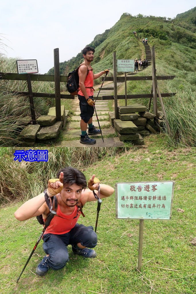 桃源谷步道~草嶺線→大溪線瀟灑走一回 (大里進，大溪出)