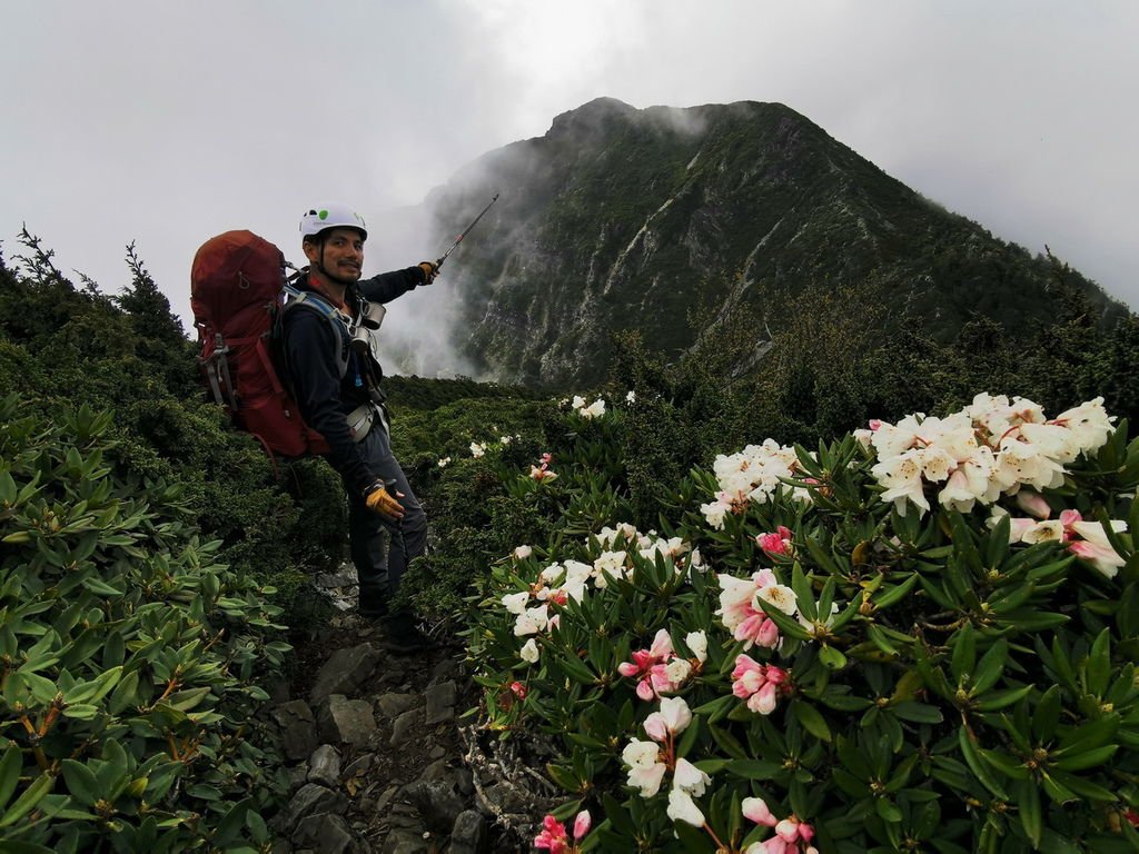 雪山北峰賞杜鵑-童話雪北山屋2天1夜超完美之旅