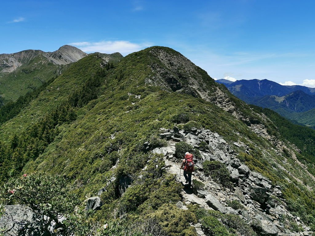 雪山北峰賞杜鵑-童話雪北山屋2天1夜超完美之旅