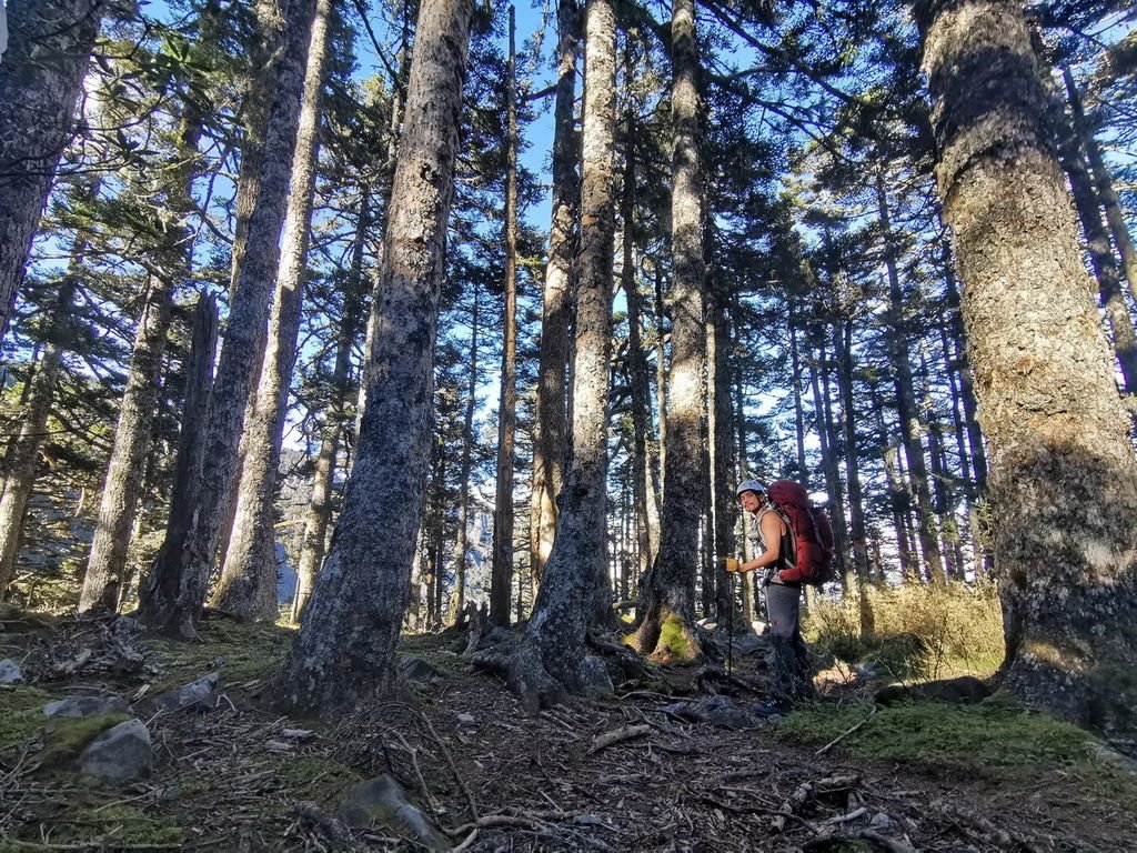 雪山北峰賞杜鵑-童話雪北山屋2天1夜超完美之旅