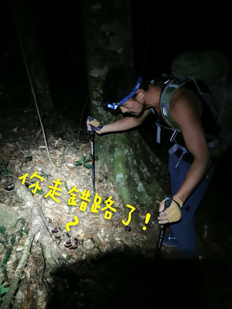 西巒大山-夜宿人倫林道全攻略-gpx軌跡、離線地圖實用分享