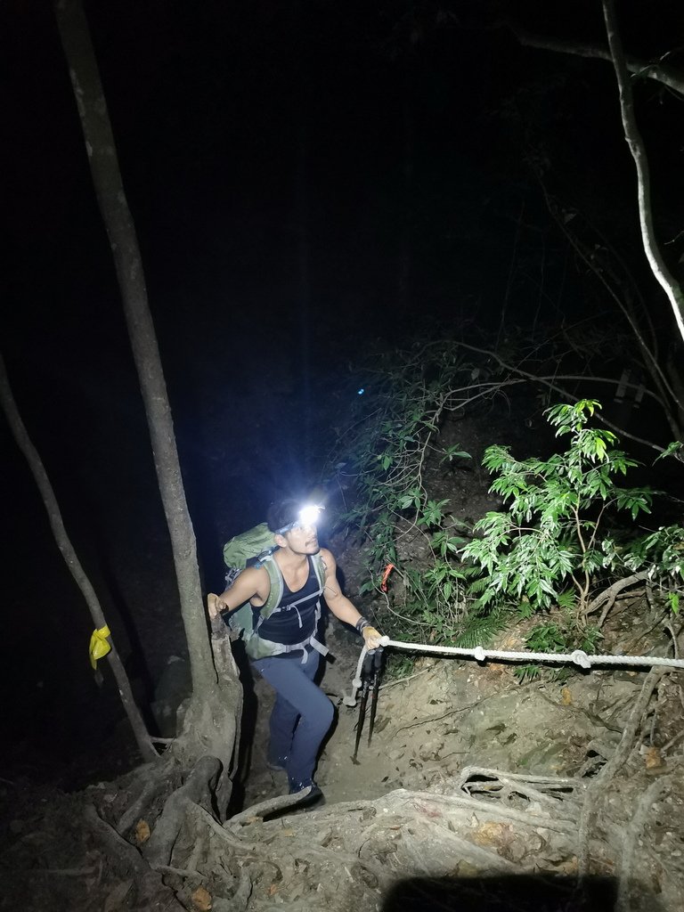 西巒大山-夜宿人倫林道全攻略-gpx軌跡、離線地圖實用分享