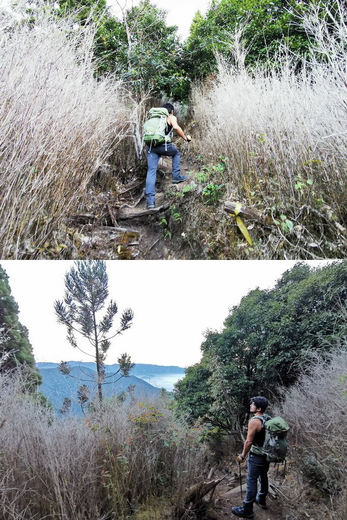 西巒大山-夜宿人倫林道全攻略-gpx軌跡、離線地圖實用分享