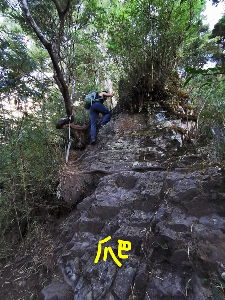 西巒大山-夜宿人倫林道全攻略-gpx軌跡、離線地圖實用分享