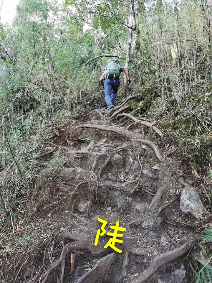 西巒大山-夜宿人倫林道全攻略-gpx軌跡、離線地圖實用分享