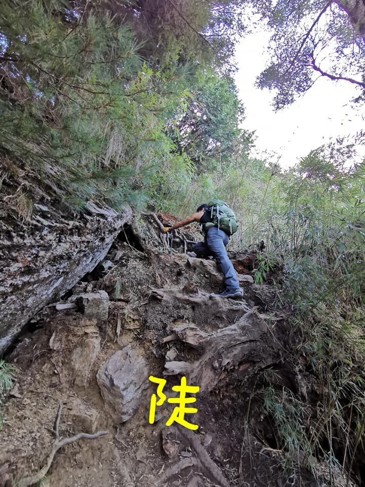 西巒大山-夜宿人倫林道全攻略-gpx軌跡、離線地圖實用分享