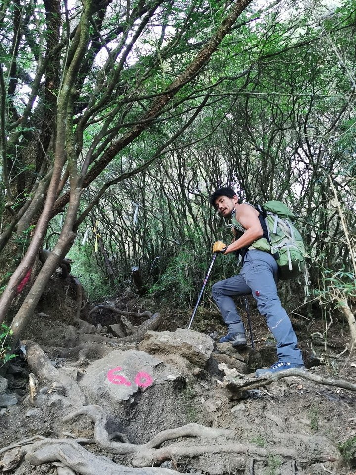 西巒大山-夜宿人倫林道全攻略-gpx軌跡、離線地圖實用分享