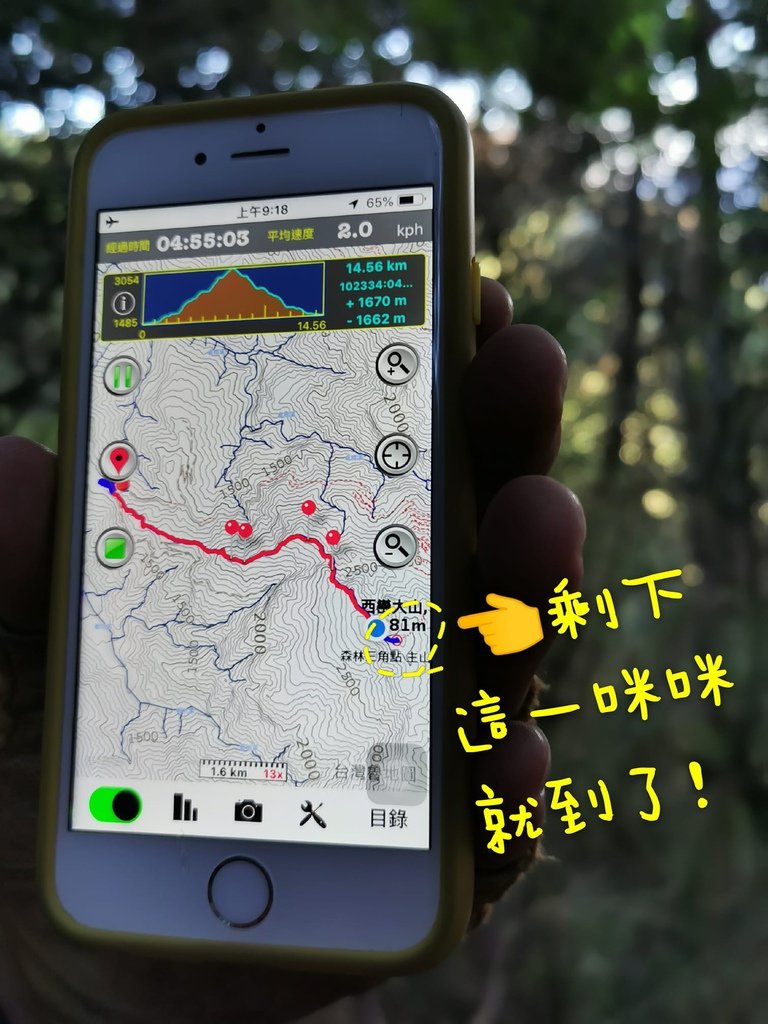 西巒大山-夜宿人倫林道全攻略-gpx軌跡、離線地圖實用分享