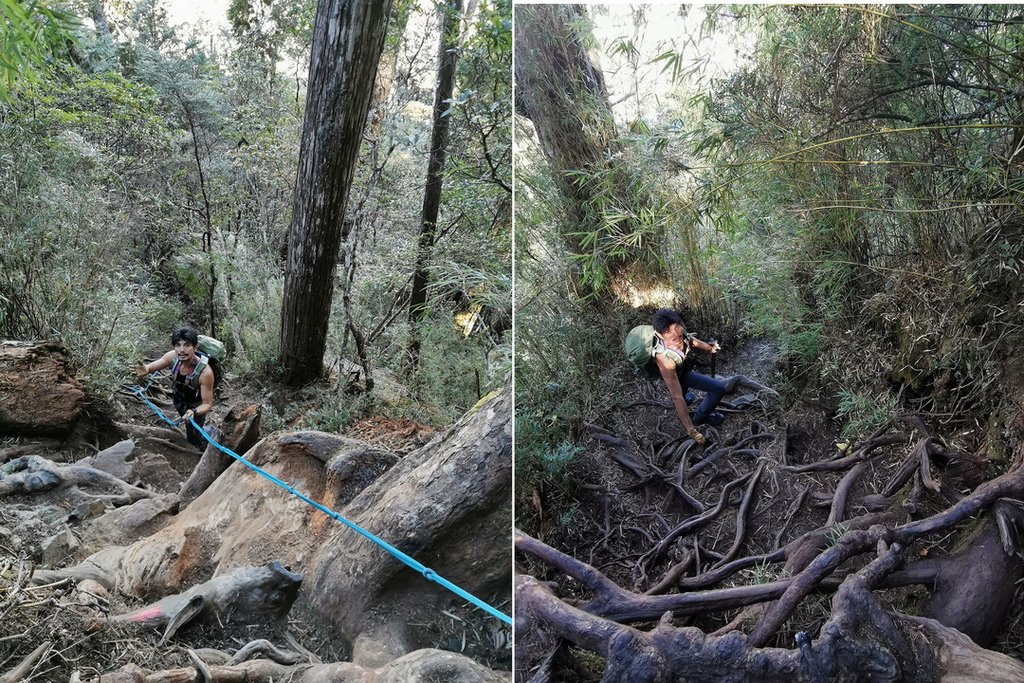 西巒大山-夜宿人倫林道全攻略-gpx軌跡、離線地圖實用分享