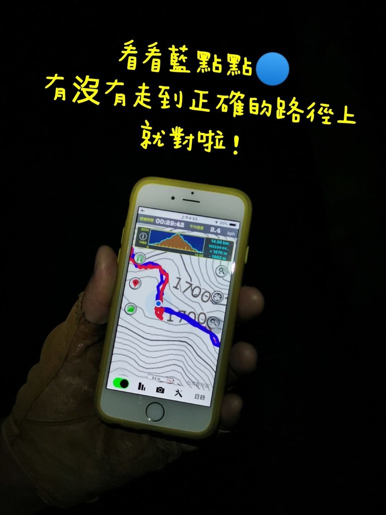 西巒大山-夜宿人倫林道全攻略-gpx軌跡、離線地圖實用分享