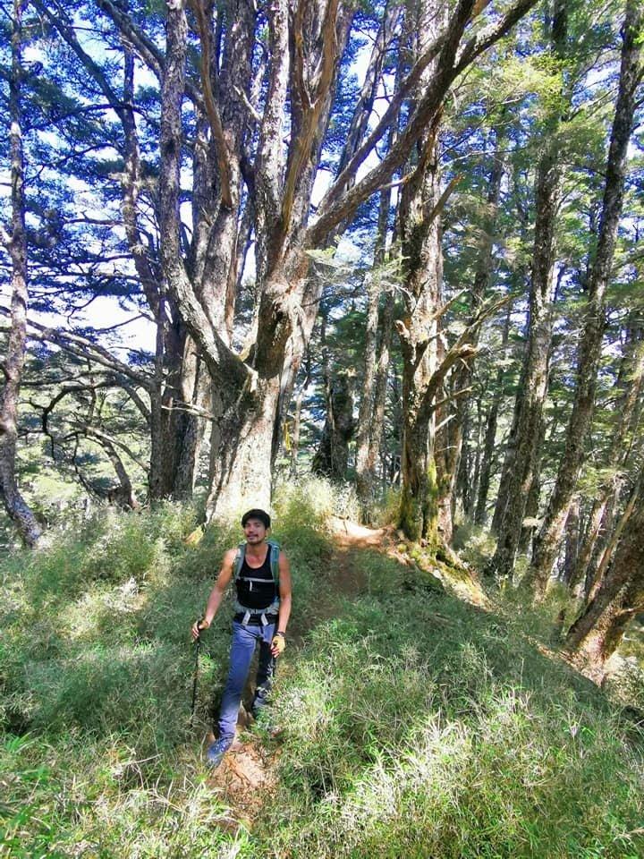 庫哈諾辛山一日行 ~ 有關門時限的山岳馬拉松