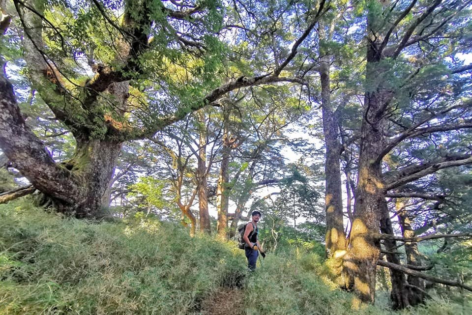 庫哈諾辛山一日行 ~ 有關門時限的山岳馬拉松