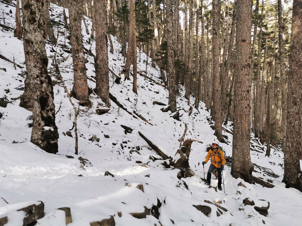 雪登雪山主峰賞雪趣