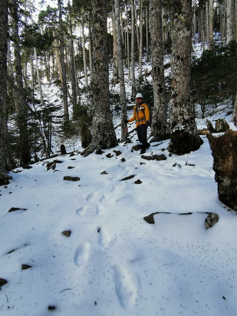 雪登雪山主峰賞雪趣