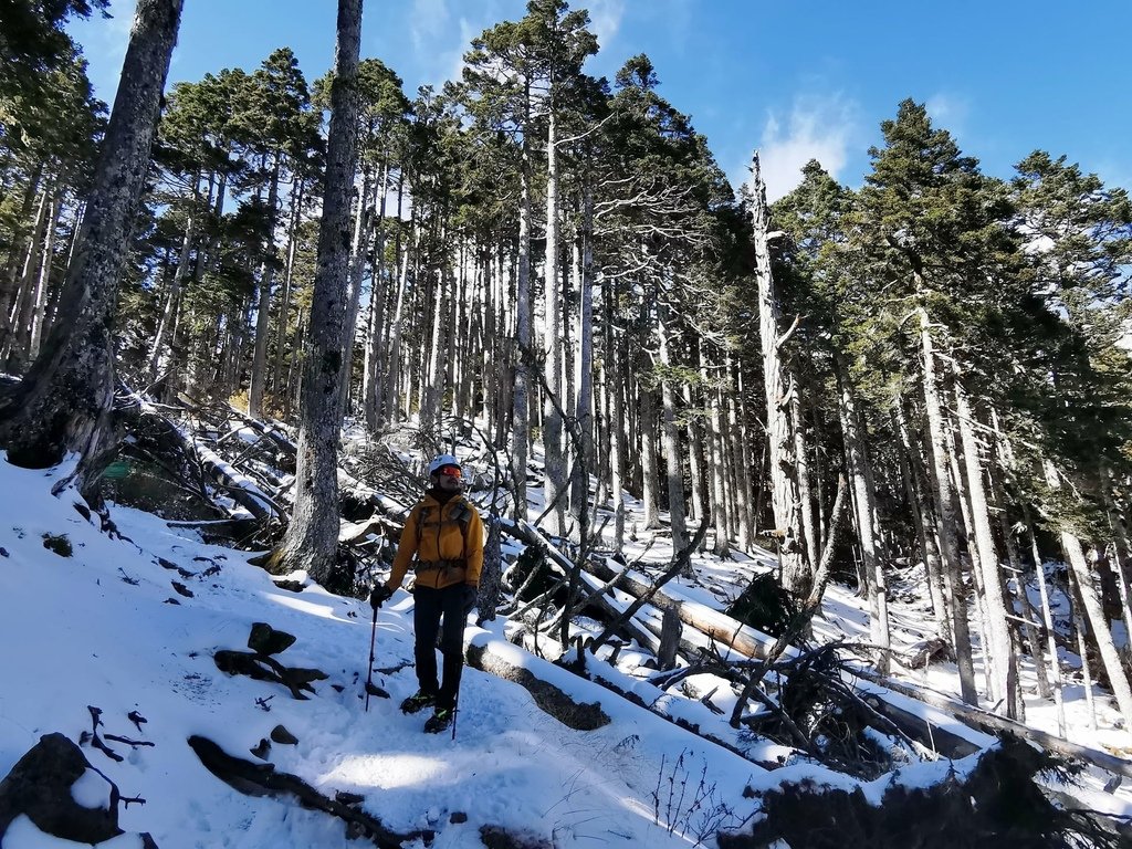 雪登雪山主峰賞雪趣