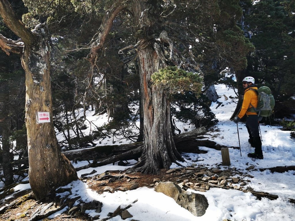 雪登雪山主峰賞雪趣