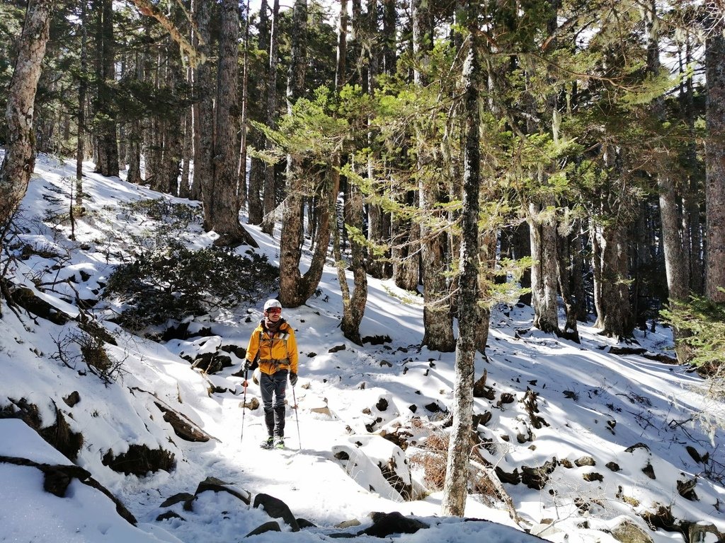 雪登雪山主峰賞雪趣