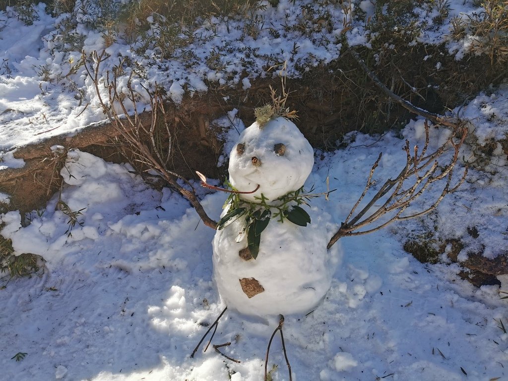 雪登雪山主峰賞雪趣