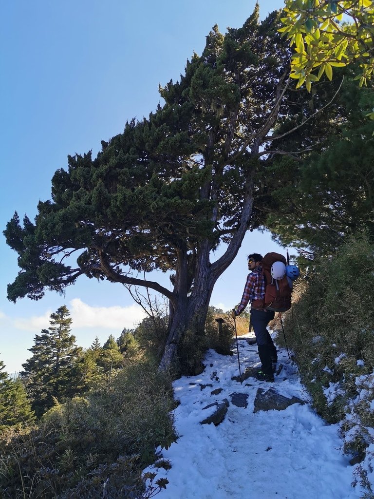 雪登雪山主峰賞雪趣