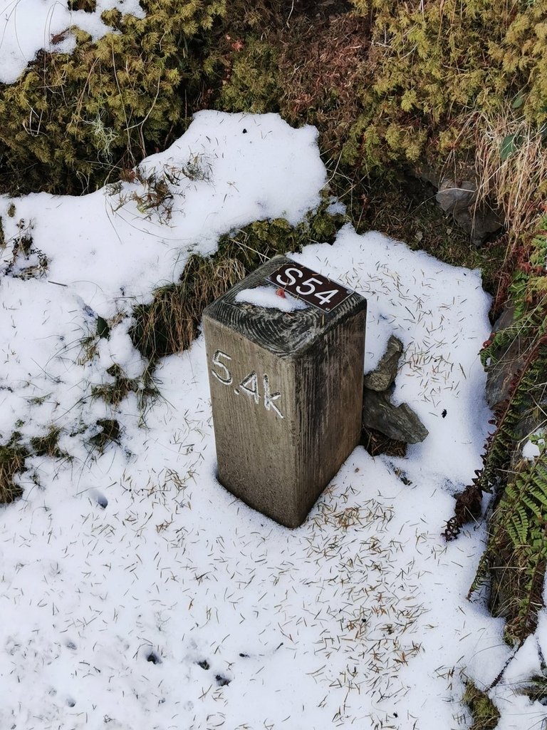 雪登雪山主峰賞雪趣