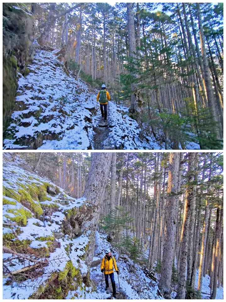 陽光、白雪、黑森林~雪山圈谷玩雪趣