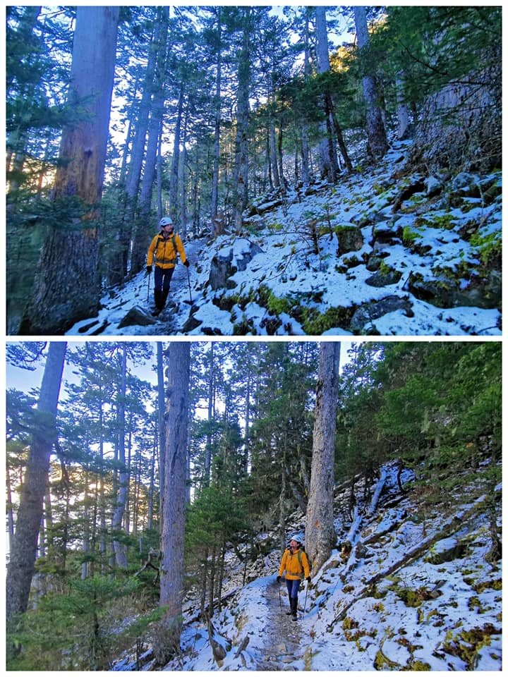 陽光、白雪、黑森林~雪山圈谷玩雪趣