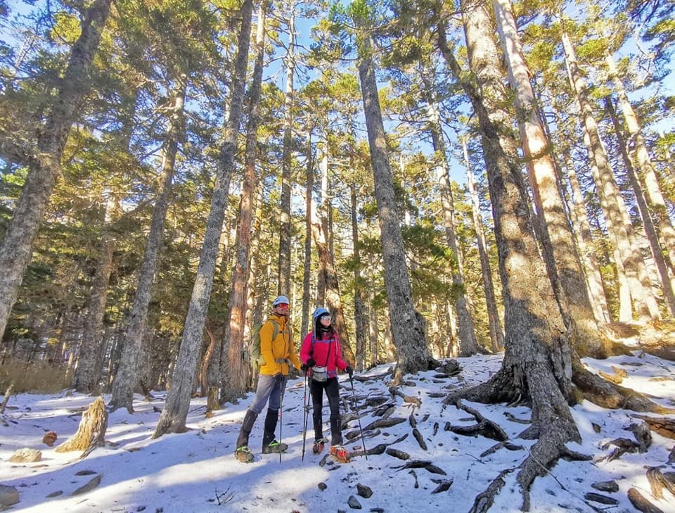 陽光、白雪、黑森林~雪山圈谷玩雪趣