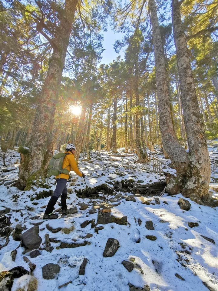 陽光、白雪、黑森林~雪山圈谷玩雪趣