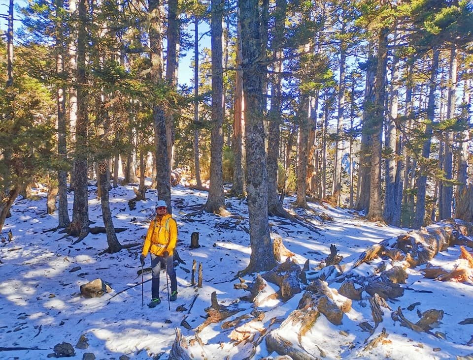 陽光、白雪、黑森林~雪山圈谷玩雪趣