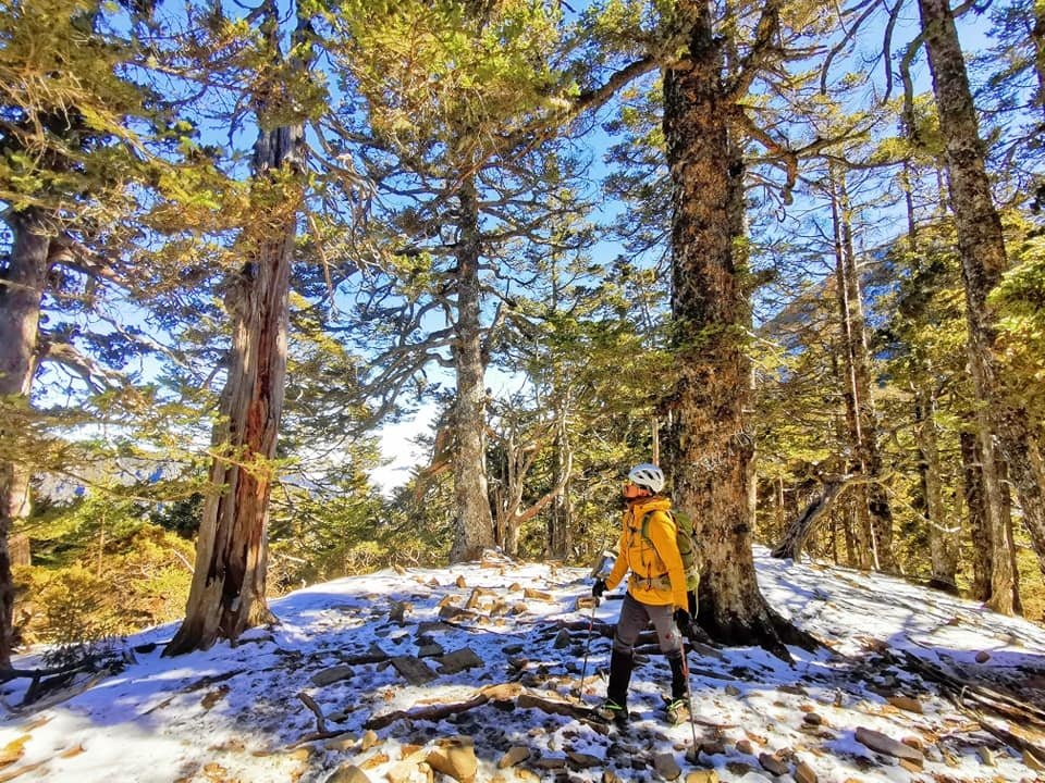 陽光、白雪、黑森林~雪山圈谷玩雪趣