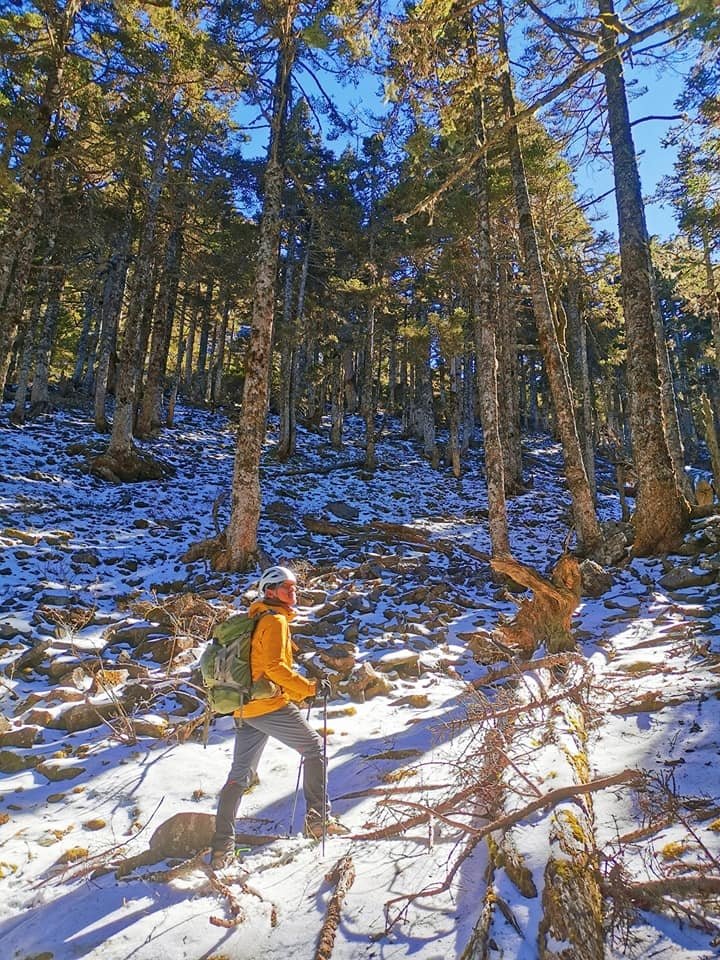 陽光、白雪、黑森林~雪山圈谷玩雪趣