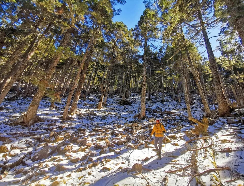 陽光、白雪、黑森林~雪山圈谷玩雪趣