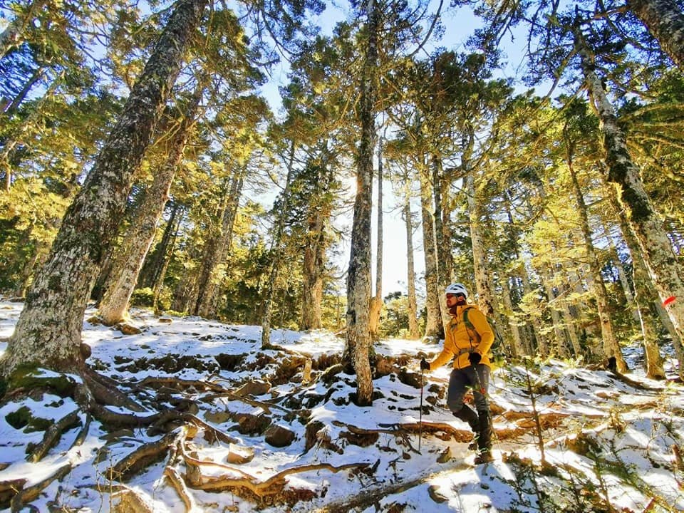 陽光、白雪、黑森林~雪山圈谷玩雪趣