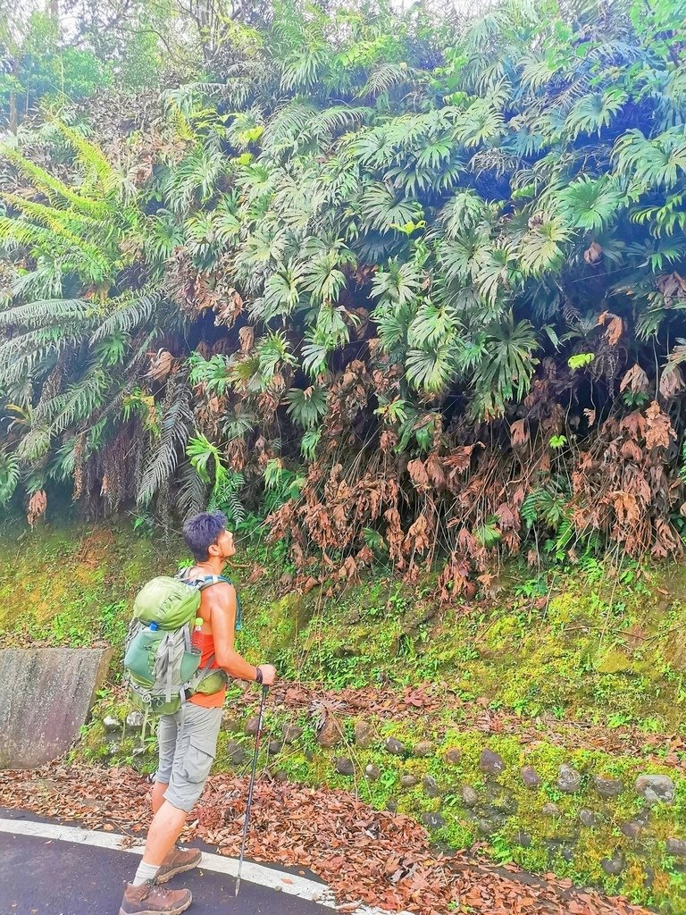 淡蘭古道中路 【灣潭段】連接【北勢溪段】全紀錄