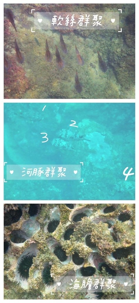 基隆外木山海興游泳池
