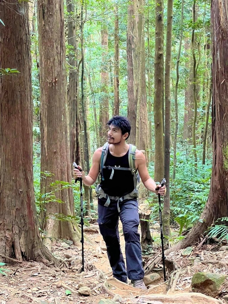 ProPACER 彎把登山杖開箱體驗-山毛櫸的故鄉~北得拉曼